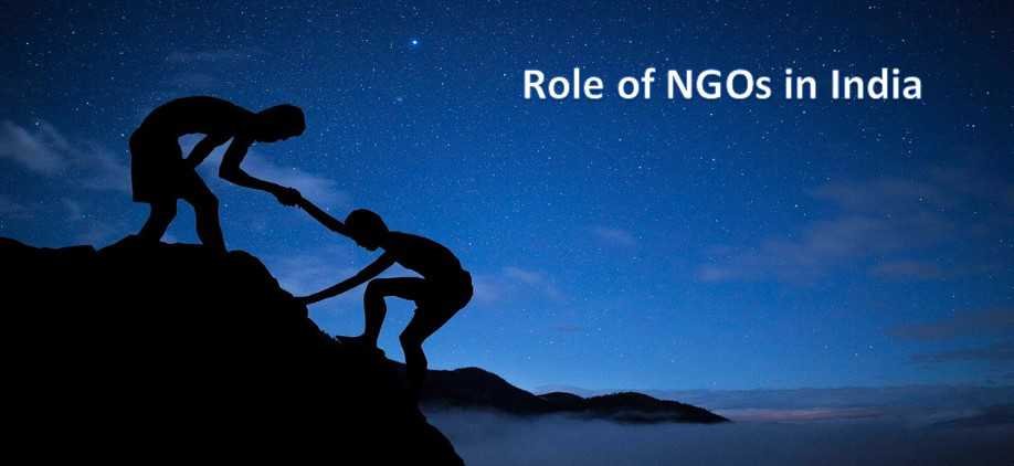 Role of NGOs in India